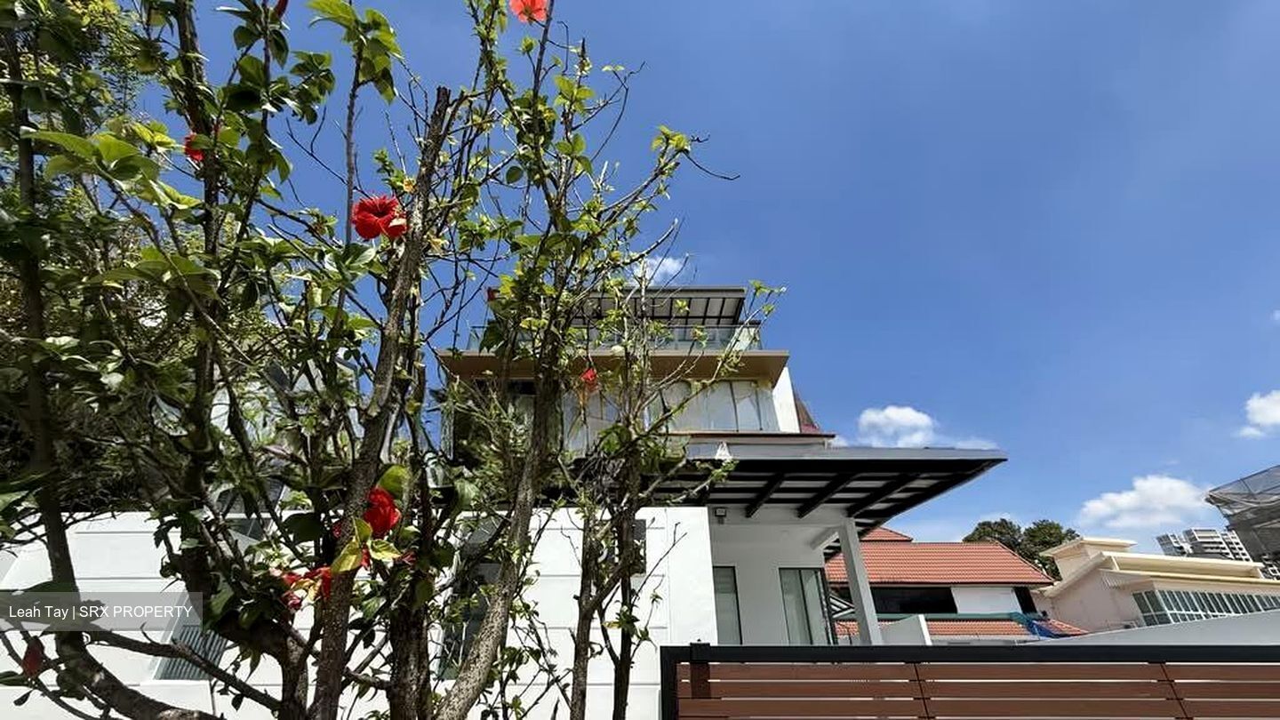 Ponggol Twenty-fourth Avenue (D19), Detached #560918201